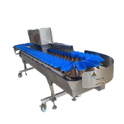 China Make Fish Food Automatic fruit vegetable Duck Goose Leg Fruit Prawn  Seafood Cod Mackerel Salmon  Fish Shrimp sorting  weight grading machine for sale