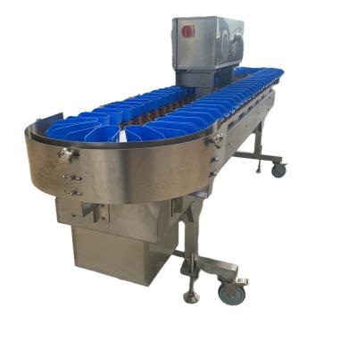 China Make Fish Food Automatic fruit vegetable Duck Goose Leg Fruit Prawn  Seafood Cod Mackerel Salmonchicken Fish Shrimp sorting  weight grader for sale