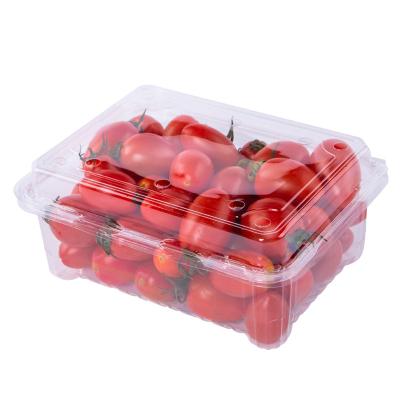 China Stored Eco-friendly Disposable Clear Plastic Fruit Packing Crate Container Food Grade Packaging Tray for sale