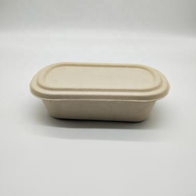 China 800ml Disposable Biodegradable Food Container Sugarcane Bagasse Fast Food Food Bowl for sale