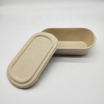 China 100% Biodegradable Compostable Square Food Container Bagasse Sugar Cane Paper Pulp Storage Container for sale