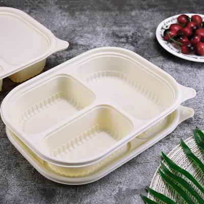 China Biodegradable 3 compartment eco friendly biodegradable disposable cornstarch corn starch takeaway take away bento lunch box food container for sale