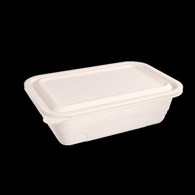 China Eco - Friendly Disposable Pulp Material Biodegradable Eco - Friendly Lunch Bento Box for sale