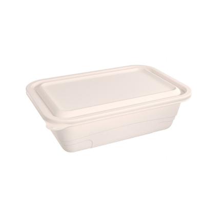 China Disposable Eco-Friendly Biodegradable Take Out Food Boxes Packaging for sale