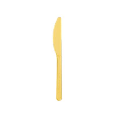 China Western Eco-friendly Fork Knife Spoon Dessert Food Utensil Restaurant PLA Plastic Compostable Cutlery for sale