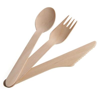 China Custom Disposable Biodegradable Disposable Wooden Cutlery/Flatware/Dishware in Different Styles for sale