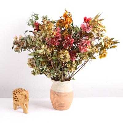 China Plant Dried Flowers Hot Sale Dried Flowers Holiday Decorations, Eternal Butterfly Flowers, Dried Flowers For Home Decoration Pansy for sale