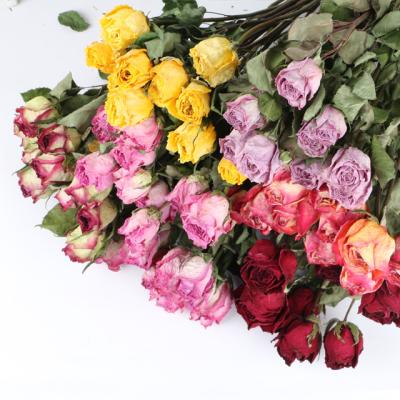 China Best Wholesale Dried Rose Rose Dried Flower Bouquet Dried Flowers Roses Dried Flowers Decoration for sale