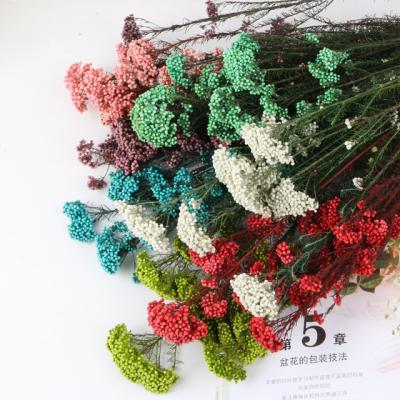 China Decorate Supply Preserved Flower Gift Dry Flower Mini Wedding Bouquet Real Natural Dried Rice Flower for sale