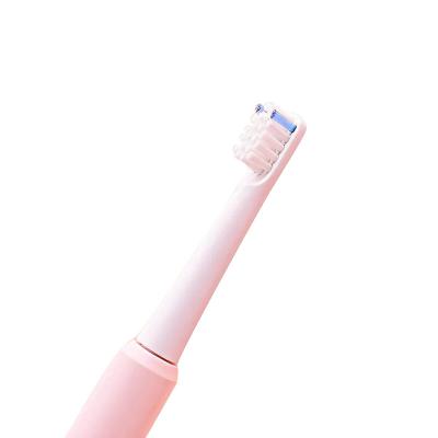 China Teeth Cleaning Cheap Wholesale Automatic Dental Cleaner Usb Wireless Oscillating Filling Soft Professional Adult Electric Toothbrush for sale