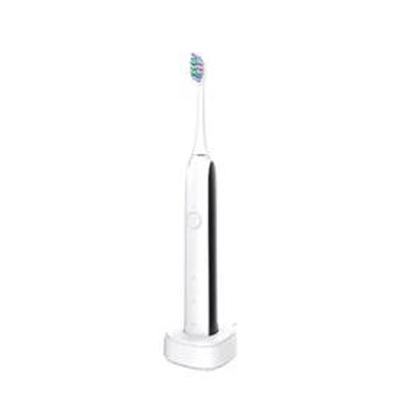 China Teeth Cleaning USB Rechargeable Adult Waterproof High Quality Travel Electric Toothbrush Essential Electric Acoustic Toothbrush for sale