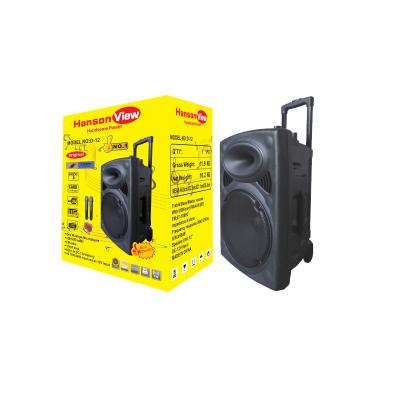 China No BT DJ Party Portable Speaker Fashionable Trolley Speaker With Microphone for sale