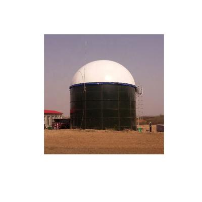 China Hotels 2000 Cubic Meters and600m3 Gas Rack Capacity Biogas Plant Steel Cstr Digester for sale