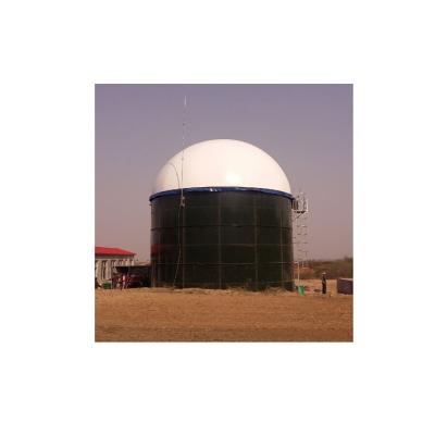 China 25000 Cubic Meters Volume Biological Industrial Biogas Digester Tower 100~10000m3 Treatment Method Hotels for sale