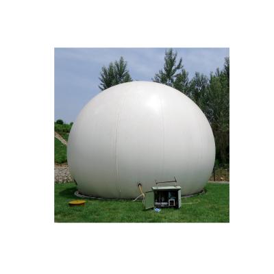 China Industry fuel biogas digester with gas rack / biogas production and storage system for biogas plant for sale