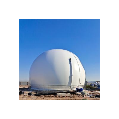 China Industry fuel biogas plant for electricity biogas storage balloon bag system equipment digester pig cow farm to biogas power generation for sale