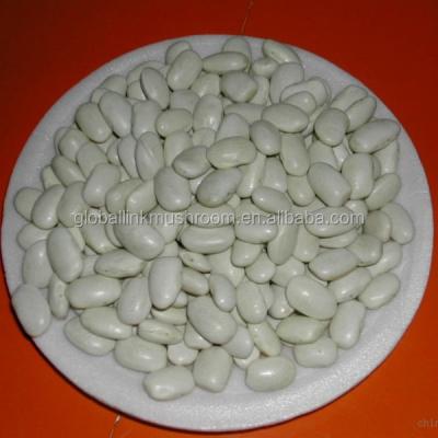 China Dry 2017 New Culture Japanese White Dwarf Beans for sale