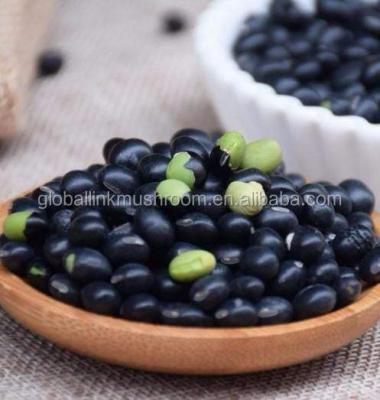 China Black Bean With Green Kernel Dried Black Soybeans for sale