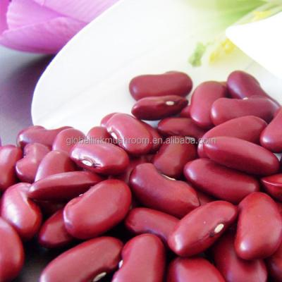 China HPS Quality Dried British Dark Red Kidney Beans for sale