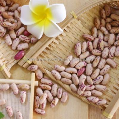 China Dried Pinto Beans for sale