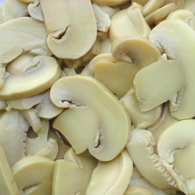 China Champignon Champignon Mushroom Preparation King Oyster Mushroom Fresh Pieces for sale