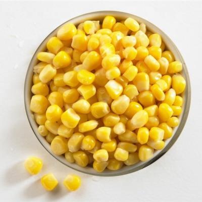 China Canned Fresh Canned Sweet Yellow Kernel Corn 184g for sale