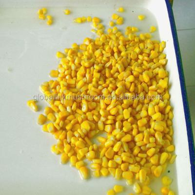 China Canned Corn Canned Vegetable For Russia And Middle East Market for sale