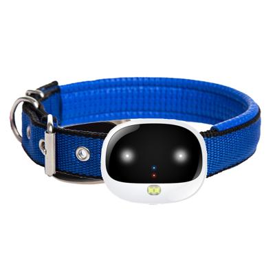 China 4G GPS Dog Viable Waterproof Rechargeable Smart Light Dog Tracker IP67 Real Time Pet Tracking Collar for sale