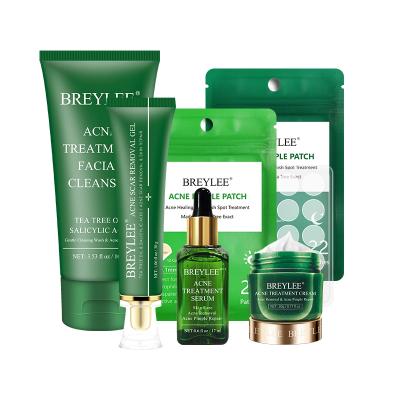 China BREYLEE Facial Tea Tree Oil Acne Corrector Acne Cream Treatment Serum Hydrocolloid Face Wash Skin Care Sets for sale