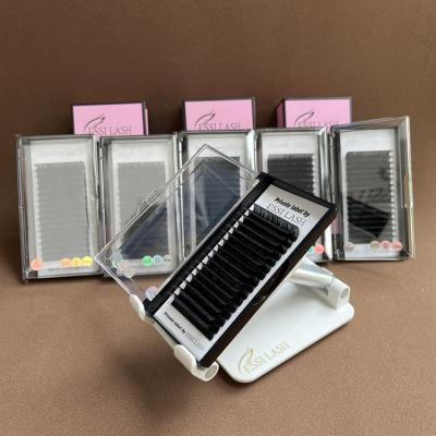 China Natural Long In Lash Trays Cashmere Soft Matte Color Dark Black Strands Volume Current Russian Mega Eyelash Extension for sale