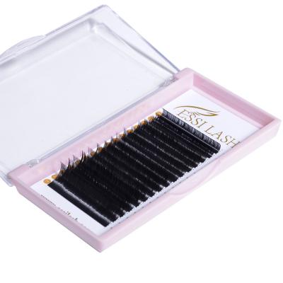 China Factory Wholesale Individual Classic Matte Black Eyelashes Extensions With Volume Beauty Girl Foil Back Paper Card for sale