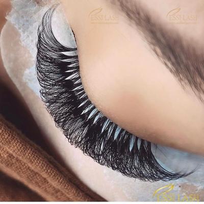 China Long Natural Professional OEM Customized Individual Classic Lash Extensions Classic Cashmere Eyelash Private Label Volume Extensions for sale