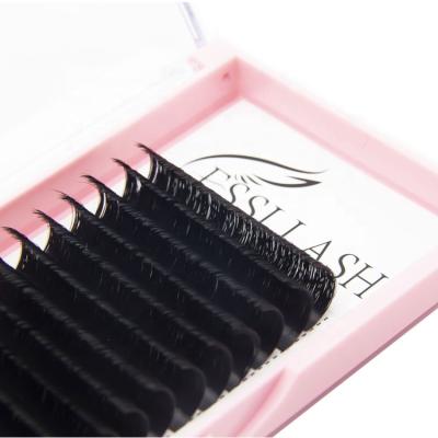 China Luxury Lash Extensions Easy Full Volume Matte Black Lash Extensions Russian Blooming Private Label Eyelash Extensions for sale