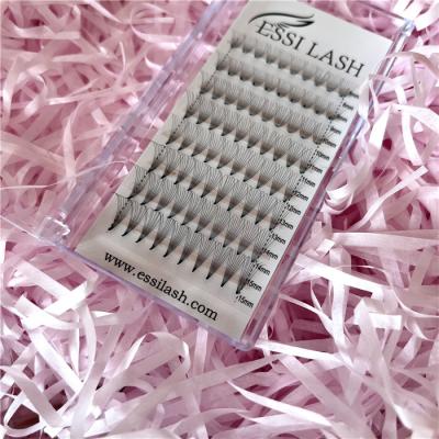 China 8D Full Volume Pre-Made Fan Eyelash Extensions High Quality And High End Market for sale