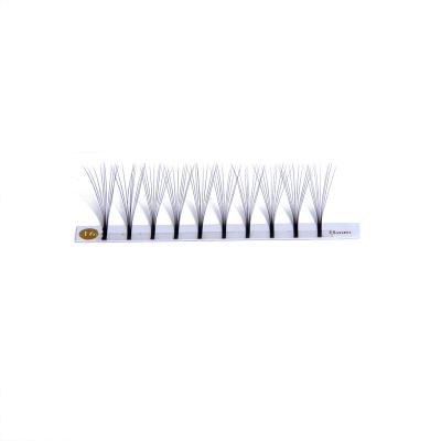 China Long Natural Wholesale Private Label 6D 8D 10D Premade Fans Individual Eyelash Extension With Matte Black Color for sale