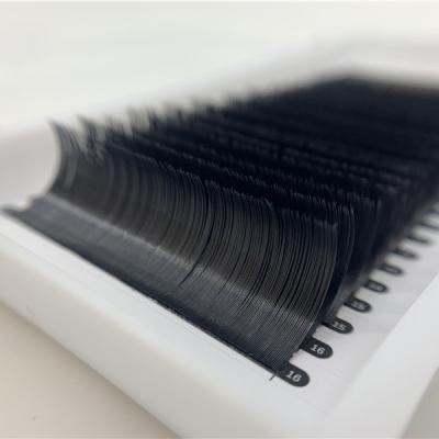 China Mink / Volume Eyelash Extension ESSILASH C/CC/D/DD/L/M/U Mega Silk Flat Loop Private Label for sale