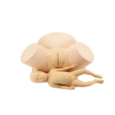 China Durable Advanced Human Childbirth Model Training Obstetrics Human Reproduction Teaching Model for sale