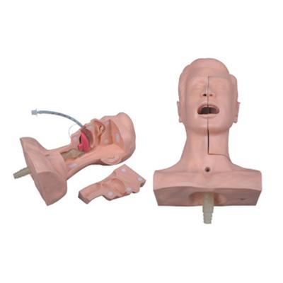 China Sputum Suction Half-body Medical Human Nursing Model Durable Advanced Practice Model for sale