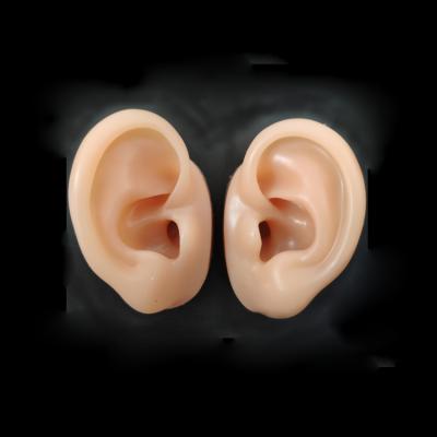 China Durable Silicone Human Ear Models For Ear Education Artificial Ears 3d Model Display for sale