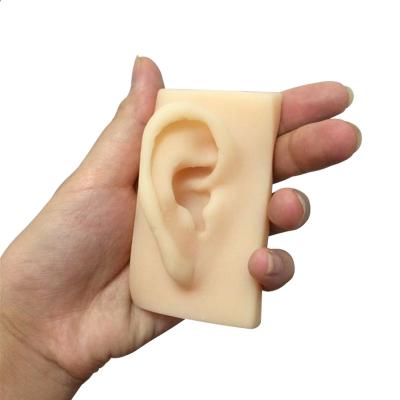 China Flexible Model Ear Displays Eco-friendly Soft Silicone Ear Model For Medical Training for sale