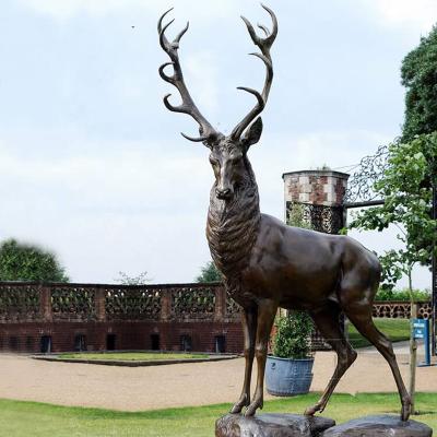 China Outdoor art life size bronze metal animal sculpture brass deer elk statue For Sale for sale