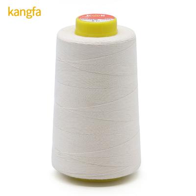 China Long Staple Cotton 20S/3 Tex90 TKT30 100% Cotton Sewing Thread for Textile Projects for sale