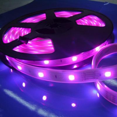 China ROAD ROAD RGB smd5050 led flexible strip light 12V 24V 60 led for indoor and outdoor use for sale