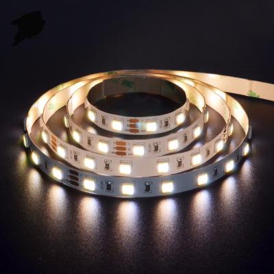 China Flexible Color Changing Led Strip 12V 24V 60Led/M Dimmable Smd 5050 Hotel TDC Hotel Newcomer Dual TDC for sale