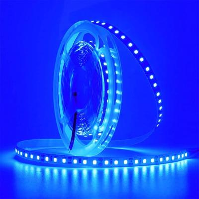 China Residential LED Strip Light 24V LED Flexible Strip Light 24V LED Blue Flexible Cuttable Non-Waterproof Indoor Decor (No 24V Power Plug/Adapter) Non-Waterproof Indoor Decor for sale