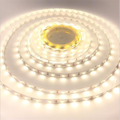 China Hot Selling Multi Colors LANDSCAPE LANDSCAPE Lamp Motorcycle Led Lighting SMD 2835 Strip Light For Daily Light for sale