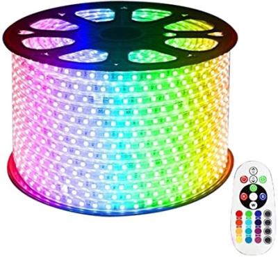 China Theme Park RGB LED Strip SMD 2835 Color Decoration IP65 12V24V 110V 220V High Voltage Waterproof Led Lamp Strip for sale