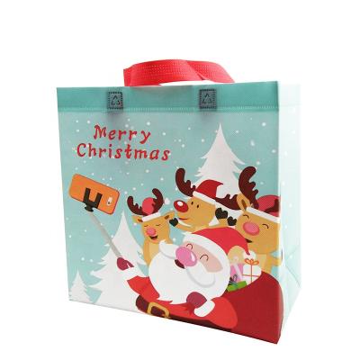 China Heat Seal Nonwoven Custom Laminated Christmas Gift Bag China Manufacture Bag for sale