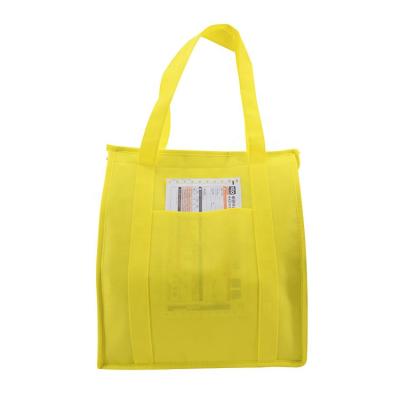 China Cooler Insulated Promotional Shopping Insulated Bag With Non Woven Zipper for sale