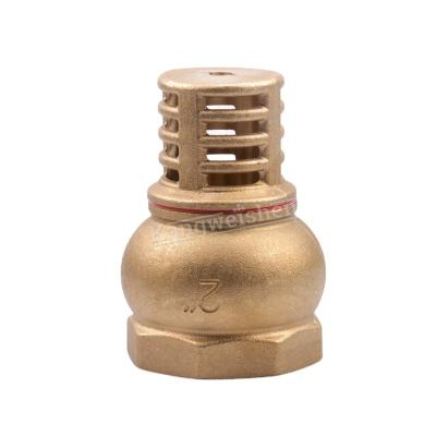 China Selling General Foot Hot Spring Brass Check Valve With SS Filter Brass Foot Valve for sale